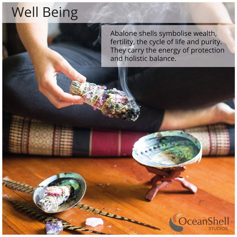 Ocean Shell Studios. Natural Abalone (PÄua) Shell, with Stand,6-6.5 Inches,Supreme for Smudging,Cleansing Home,Meditation,Shell Crafts,Incense Holder,100% Natural, Sustainably Sourced by Ocean Shell Studios NZ - Image 3